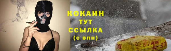 винт Абаза