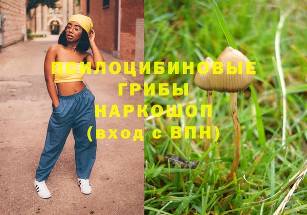 тгк Алзамай