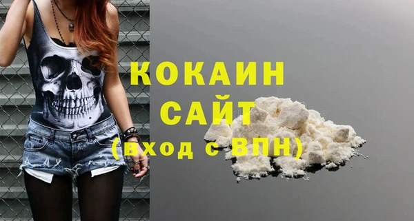 винт Абаза