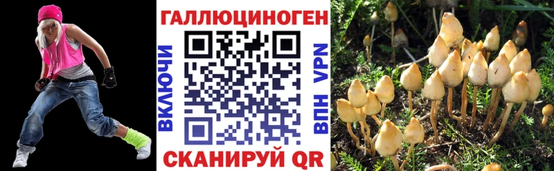 Псилоцибиновые грибы Psilocybe  где купить наркоту  Псков 
